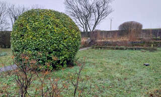 Terrain  910 m² à vendre à Serpaize (38200)