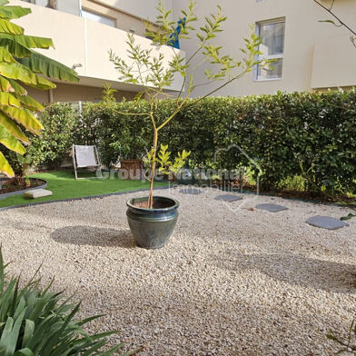 Appartement 3 pièces 990 €