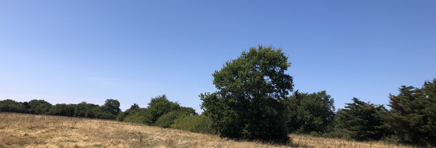 Terrain  319 m² à vendre à La Baule-Escoublac (44500)