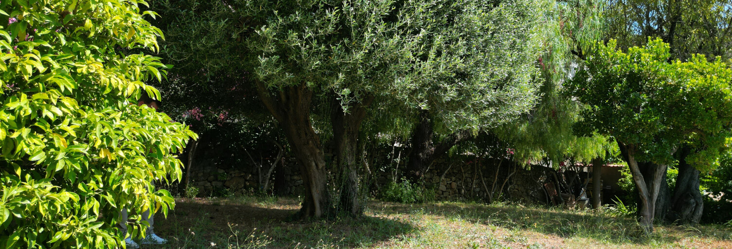 Terrain  614 m² à vendre à La Farlède (83210)