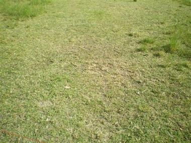 Terrain  à vendre Saint-Georges-de-Didonne 17110