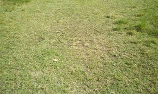 Terrain  363 m² à vendre à Saint-Georges-de-Didonne (17110)