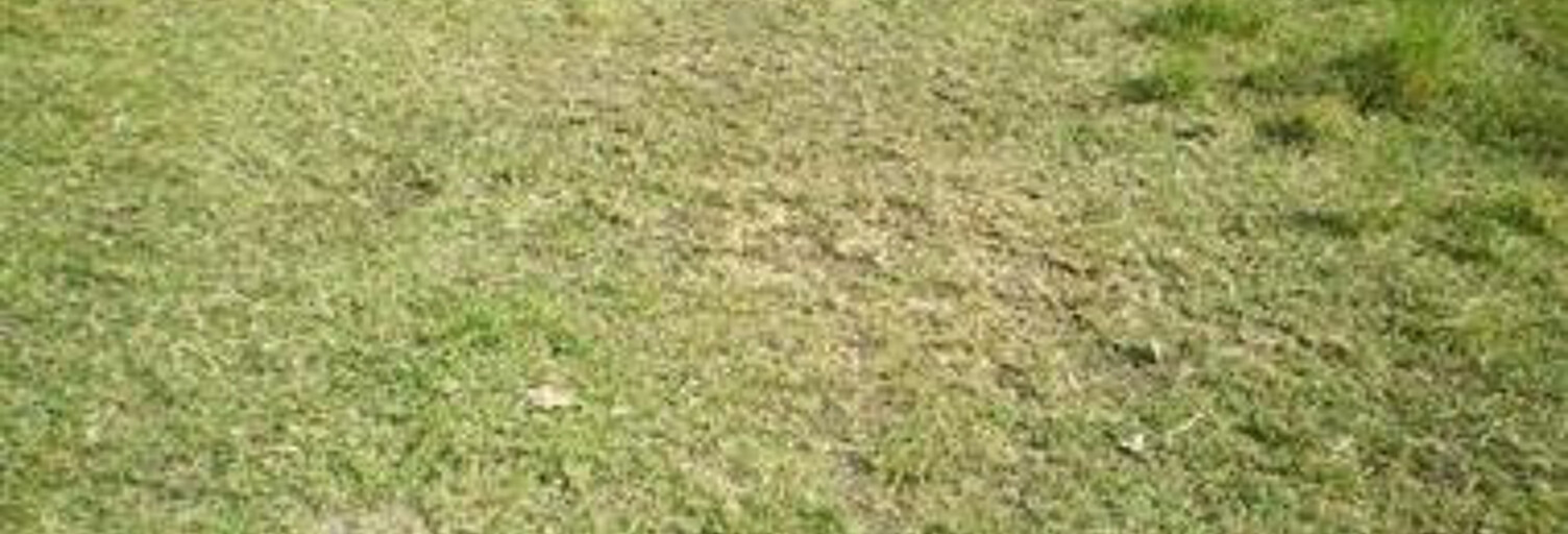 Terrain  363 m² à vendre à Saint-Georges-de-Didonne (17110)