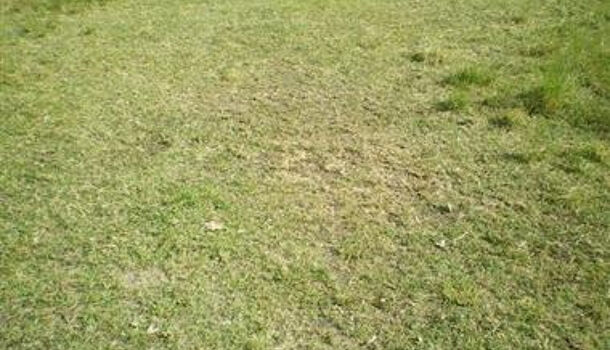 Terrain  à vendre Saint-Georges-de-Didonne 17110