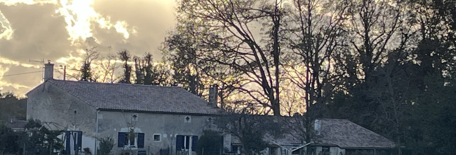 Maison 5 Pièces 150 m² à vendre à Vensac (33590)