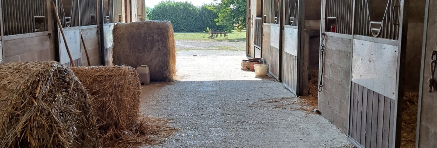 Maison 21 Pièces 540 m² à vendre à Chenoise-Cucharmoy (77160)