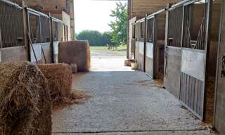 Maison 21 Pièces 540 m² à vendre à Chenoise-Cucharmoy (77160)