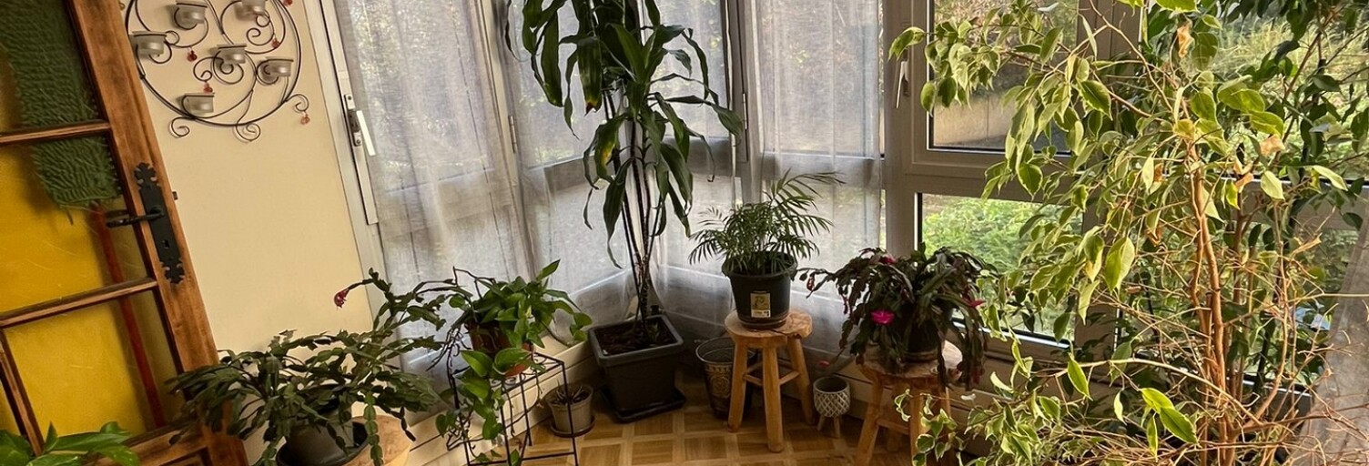 Appartement 5 Pièces 100 m² à vendre à Les Ulis (91940)