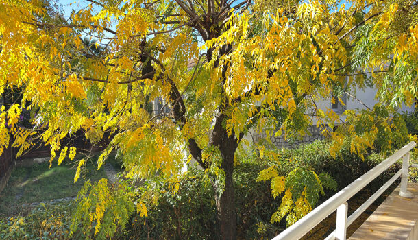 Appartement 4 pièces  à vendre Montpellier 34000