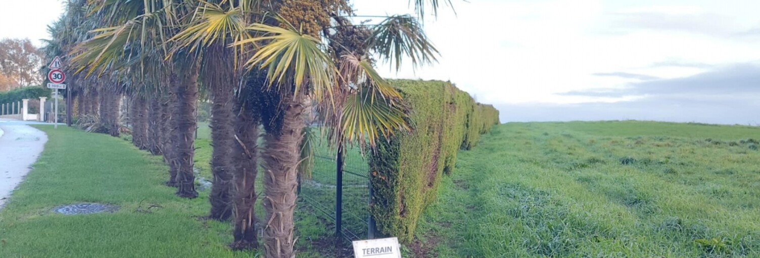 Terrain  4661 m² à vendre à Saint-Cyr-des-Gâts (85410)