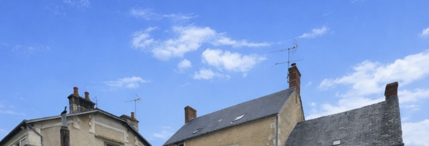 Maison 6 Pièces 250 m² à vendre à Pruniers (36120)