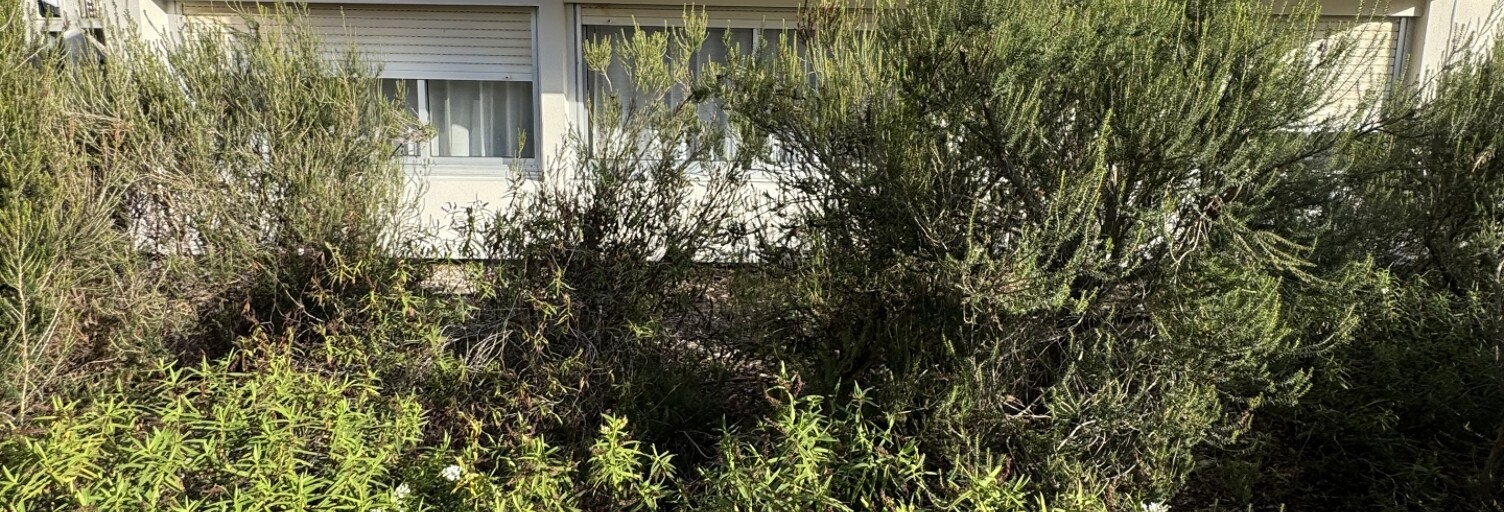 Appartement 2 Pièces 50 m² à vendre à Bordeaux (33200)