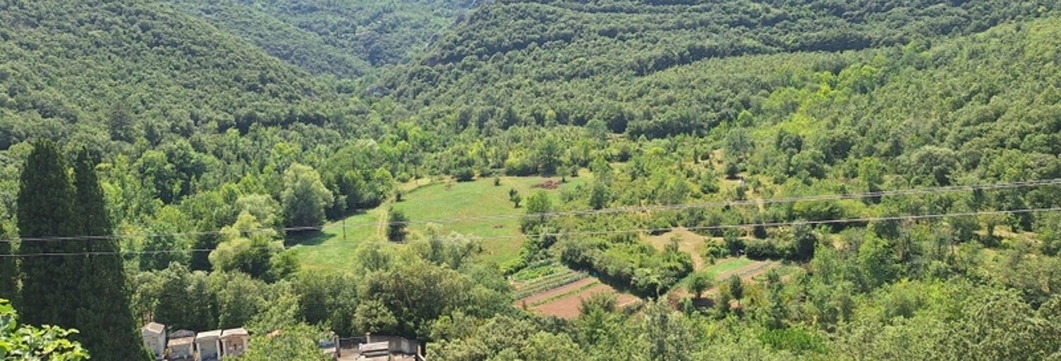 Maison 6 Pièces 170 m² à vendre à Reynès (66400)