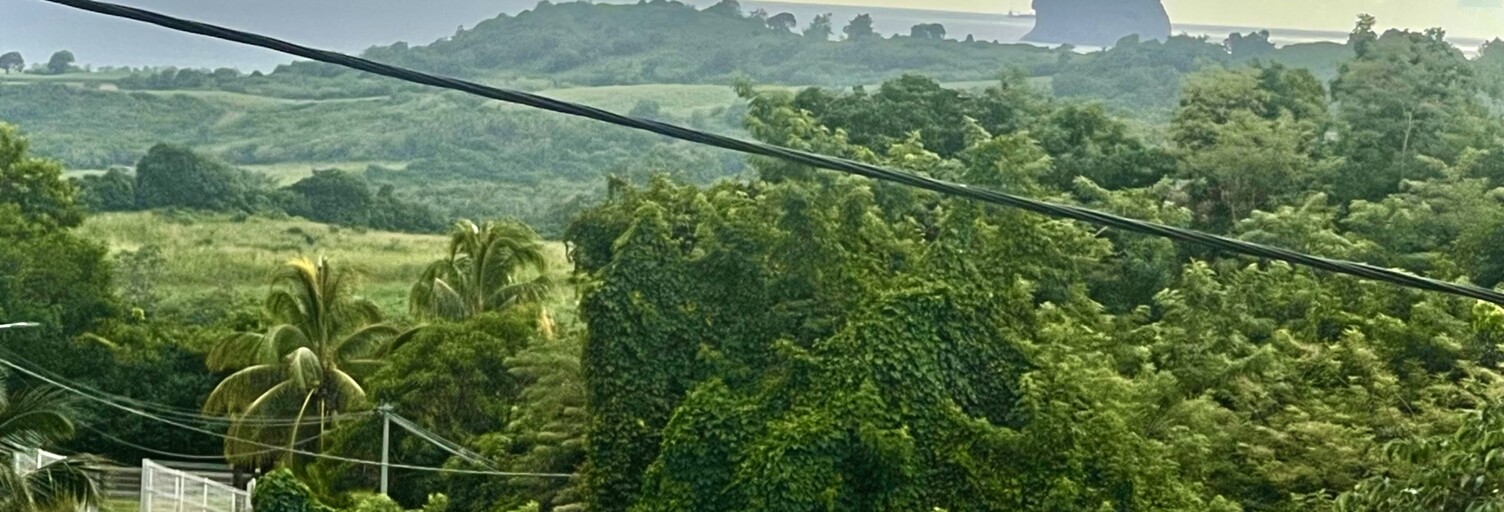 Maison 5 Pièces 120 m² à vendre à Sainte-Luce (97228)