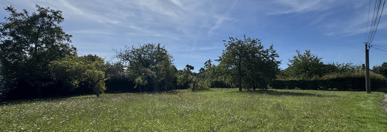 Terrain  1081 m² à vendre à Voulx (77940)