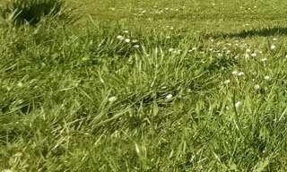 Terrain  1100 m² à vendre à Antonne-et-Trigonant (24420)