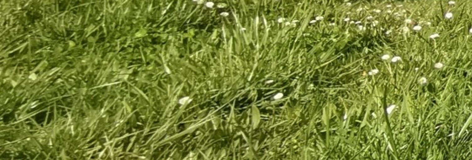 Terrain  1100 m² à vendre à Antonne-et-Trigonant (24420)