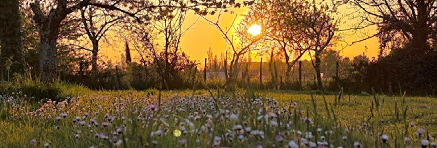 Terrain  1300 m² à vendre à Coutras (33230)