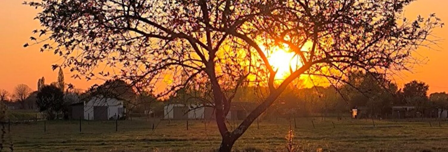 Terrain  600 m² à vendre à Cavignac (33620)