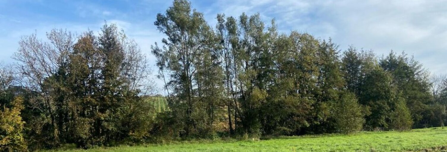 Terrain  650 m² à vendre à Tizac-de-Lapouyade (33620)