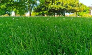 Terrain  400 m² à vendre à Hourtin (33990)