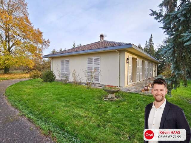 LUTTANGE - Maison Plain-pied - 145m² - 3Ch - 90 ares de Terrain constructible — photo du bien