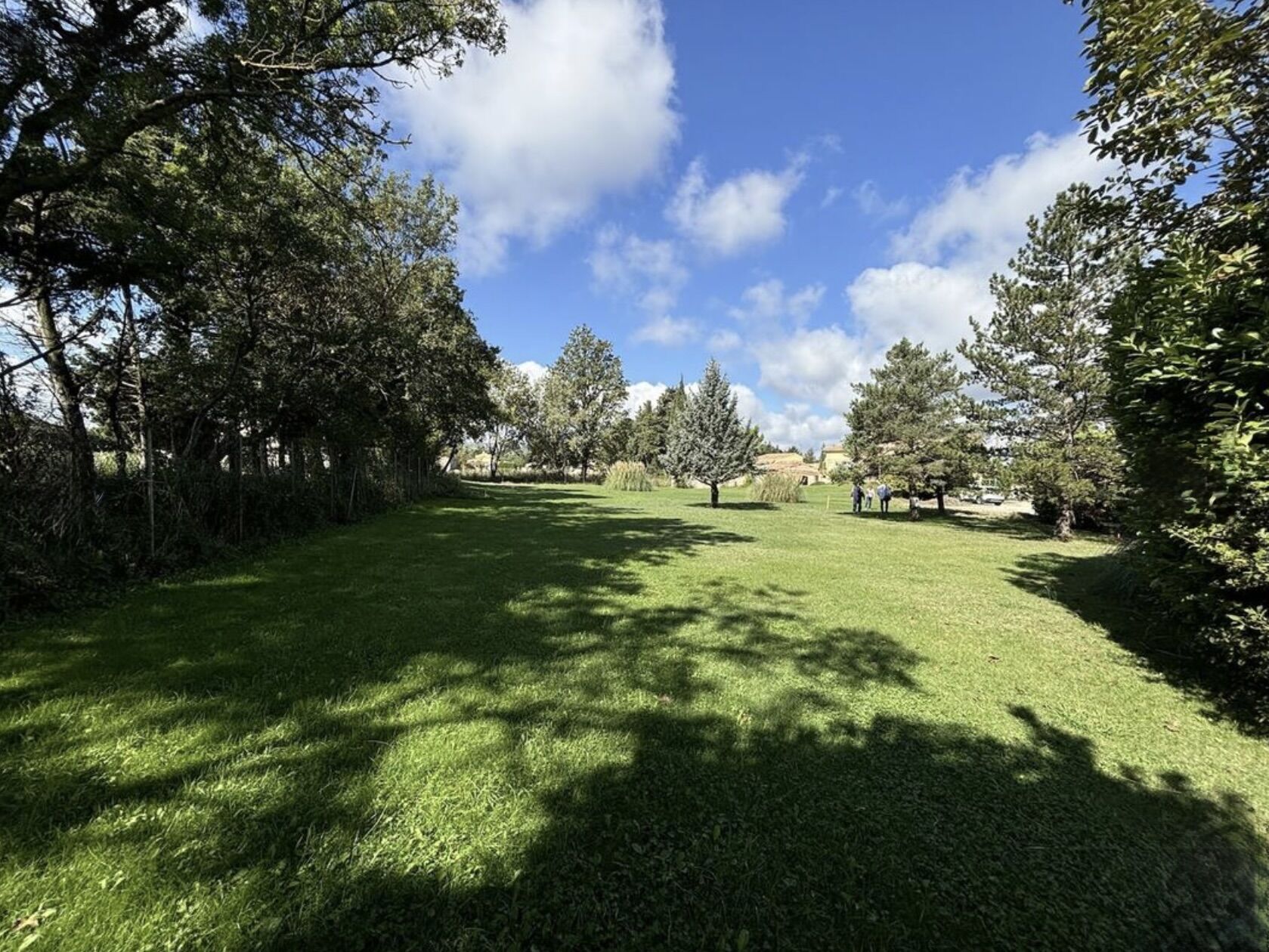 Terrain  à vendre Sénas 13560