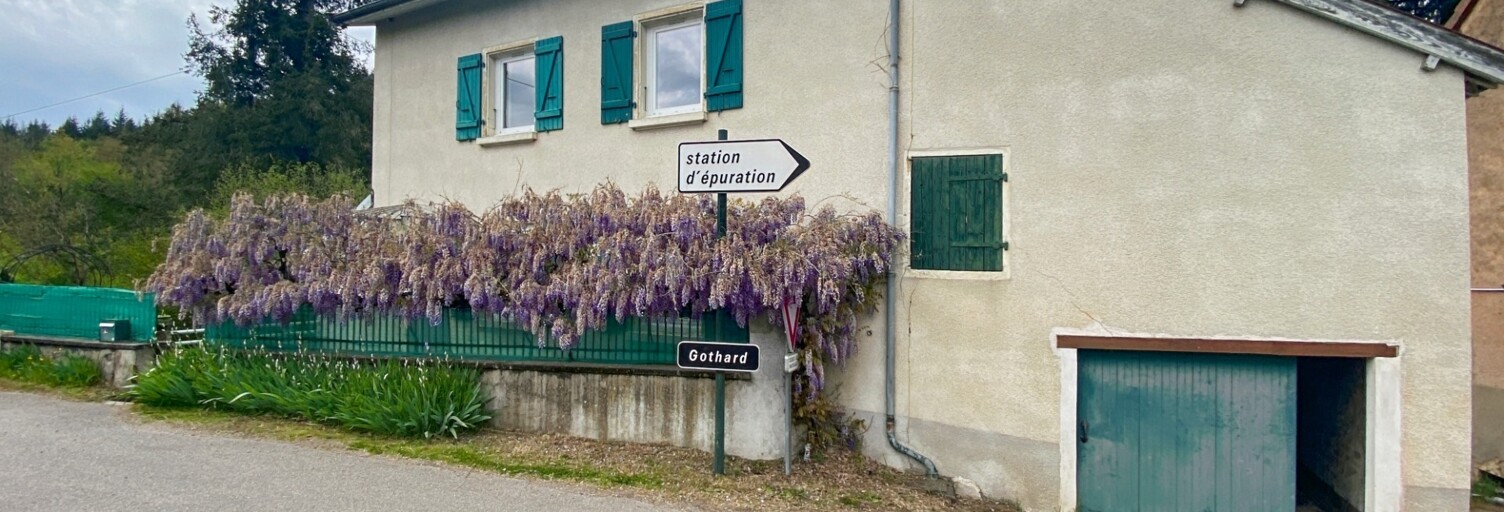 Photo N° 2