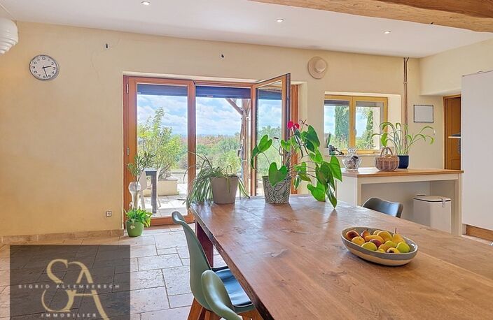 Domaine à vendre (Aude) – vue sur les Pyrénées – autonomie rare — photo 5