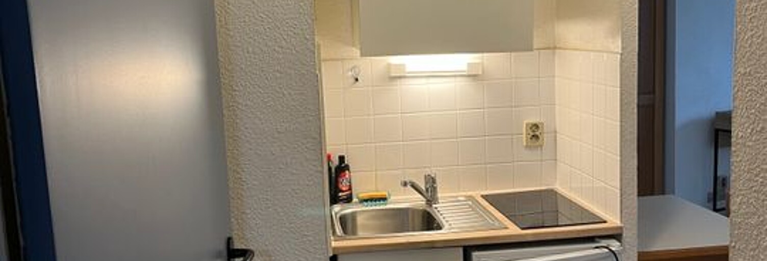 Appartement 1 Pièce 29 m² à louer à Villeurbanne (69100)
