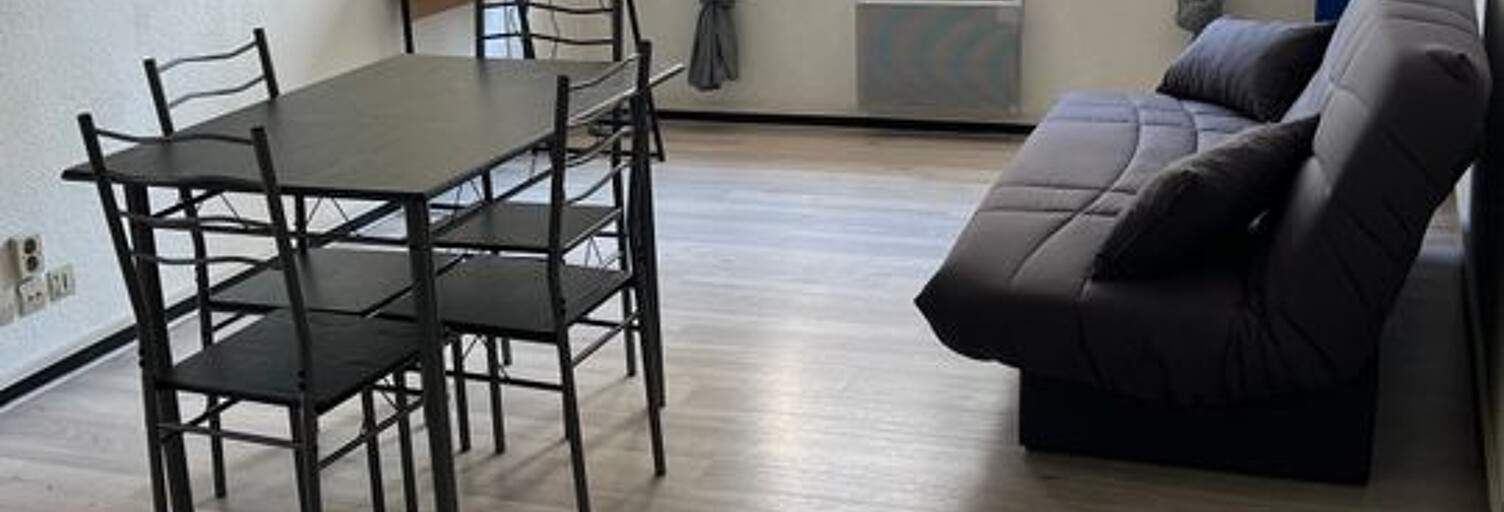 Appartement 1 Pièce 29 m² à louer à Villeurbanne (69100)