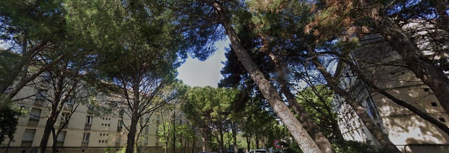 Appartement 3 Pièces 44 m² à louer à Avignon (84000)