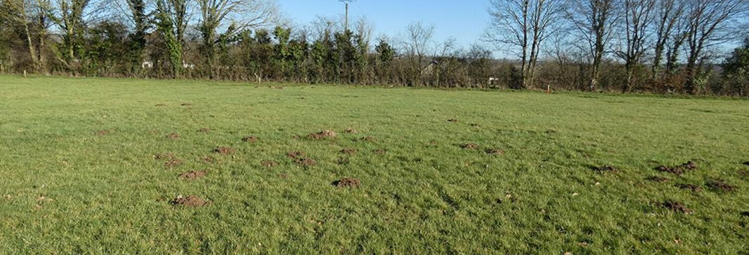 Terrain  1121 m² à vendre à Mézidon Vallée d'Auge (14270)