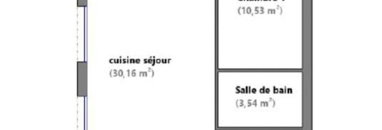 Appartement 2 Pièces 48 m² à vendre à Lyon 1 (69001)