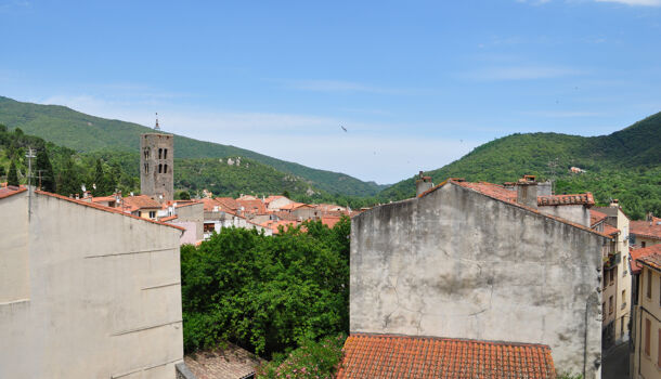 Appartement 1 pièces  à louer Arles-sur-Tech 66150