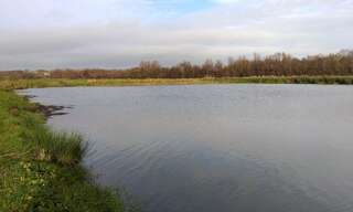 Terrain  2333 m² à vendre à Saint-Josse (62170)