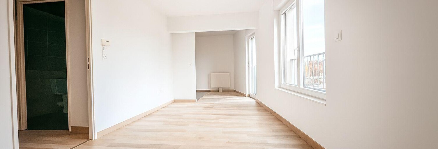 Appartement 1 Pièce 36 m² à louer à Nancy (54000)