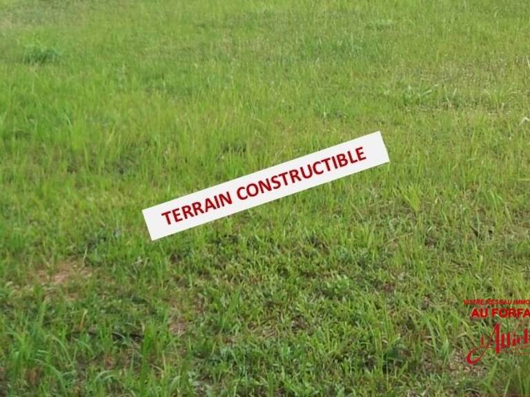 Terrain — photo 1