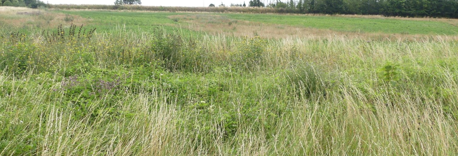 Terrain  2337 m² à vendre à Plainval (60130)