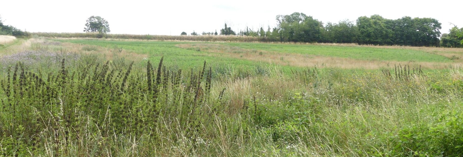 Terrain  9203 m² à vendre à Plainval (60130)