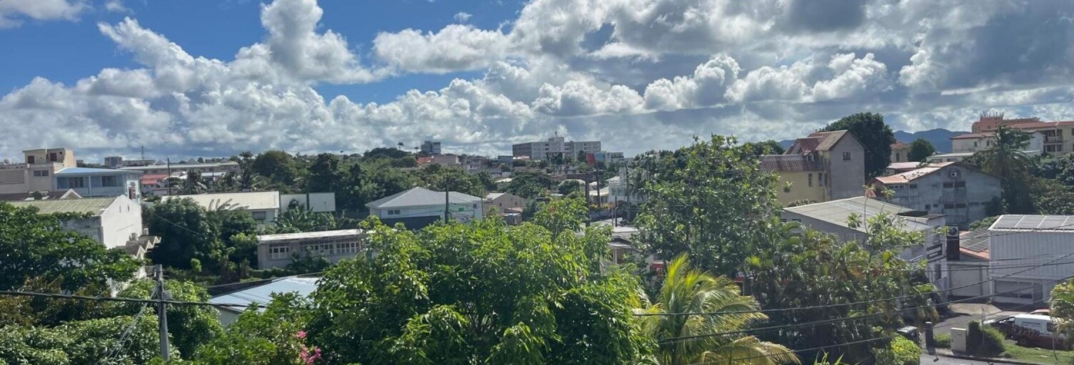 Appartement 3 Pièces 48 m² à vendre à Schœlcher (97233)