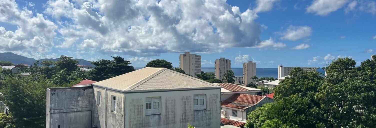 Appartement 3 Pièces 48 m² à vendre à Schœlcher (97233)