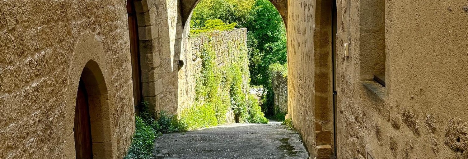 Maison 7 Pièces 235 m² à vendre à Saint-Macaire (33490)