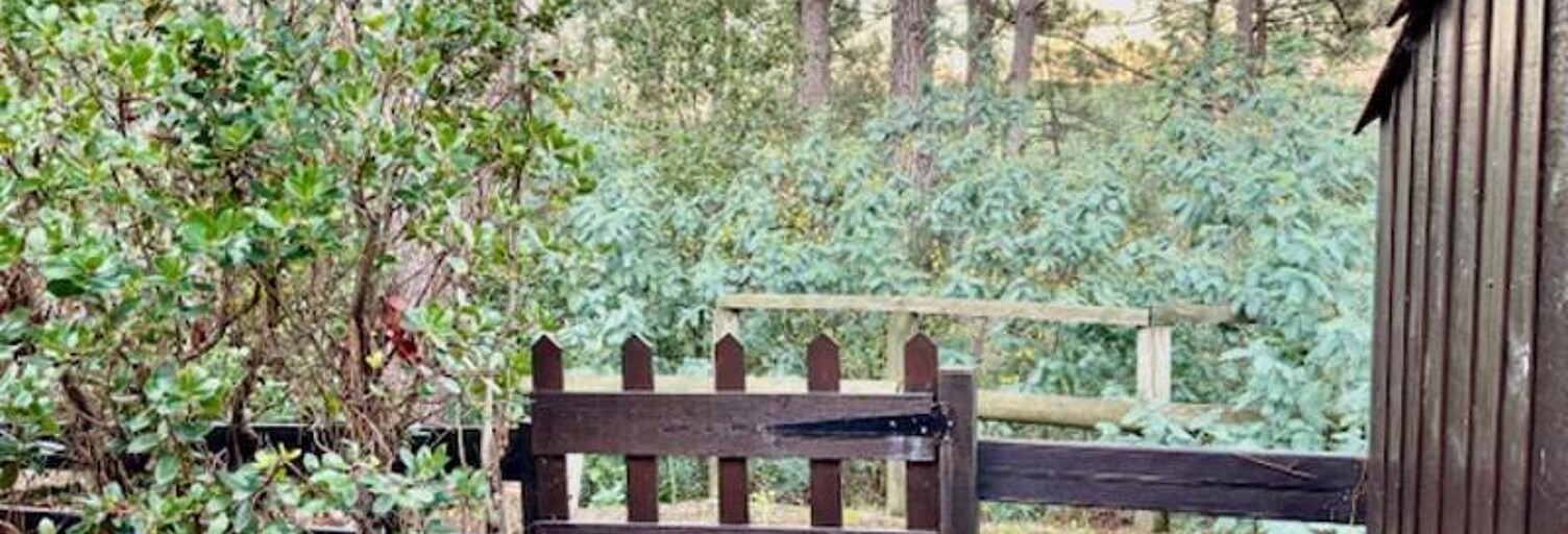 Appartement 2 Pièces 31 m² à vendre à Lacanau (33680)