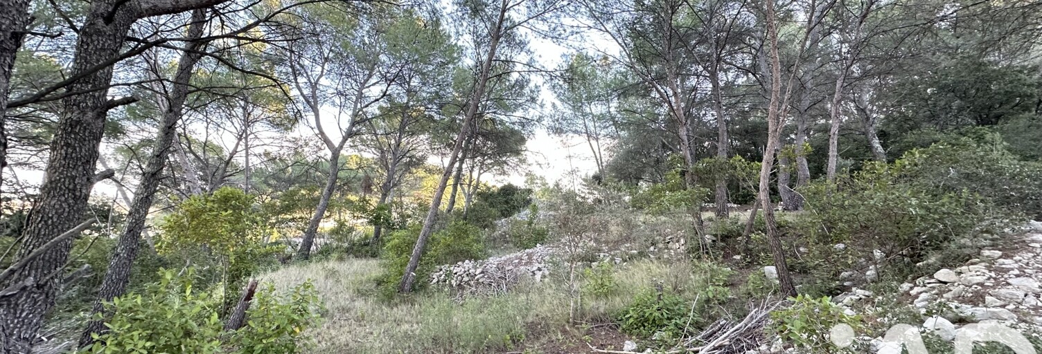 Terrain  820 m² à vendre à Calvisson (30420)