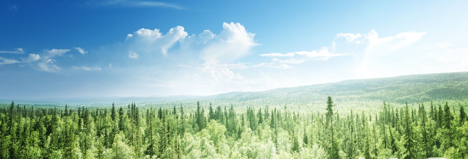 Terrain  52608 m² à vendre à La Capelle-Bonance (12130)