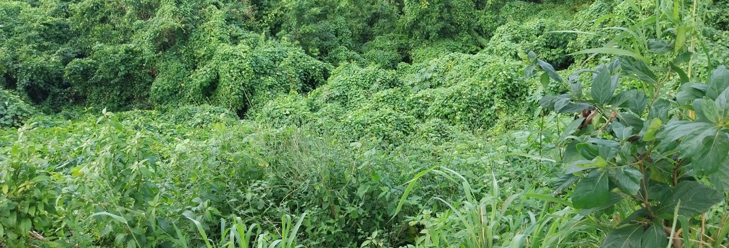 Terrain  900 m² à vendre à Le Gosier (97190)