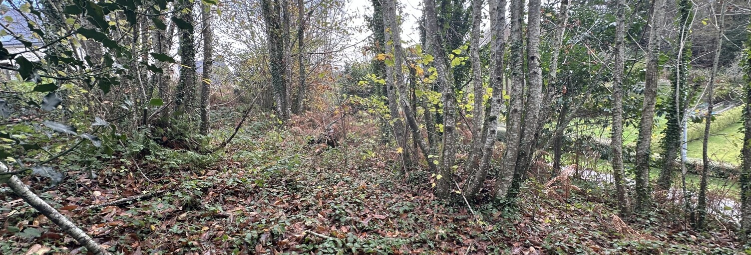 Terrain  650 m² à vendre à Guengat (29180)