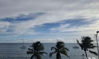 Appartement 3 Pièces 65 m² à vendre à Sainte-Anne (97180)