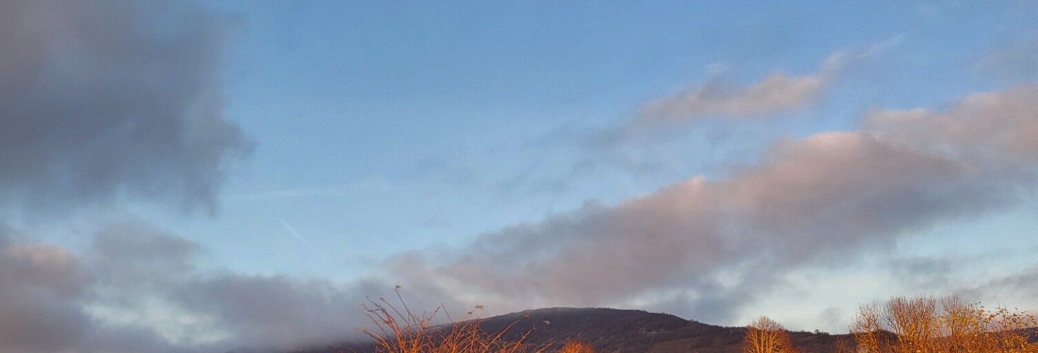 Maison 5 Pièces 105 m² à vendre à Briord (01470)